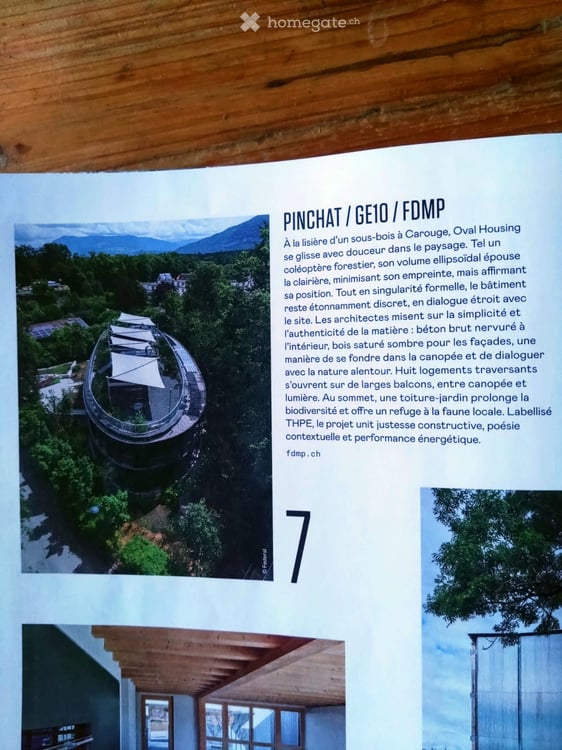 Attique à Carouge GE avec Rooftop 10