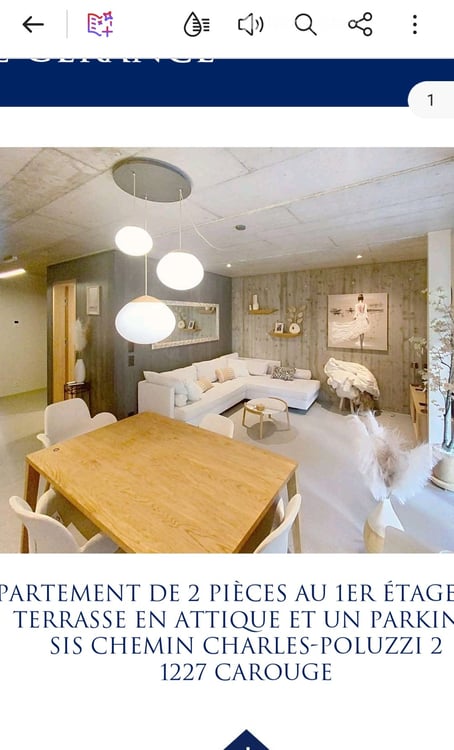 Attique à Carouge GE avec Rooftop 8