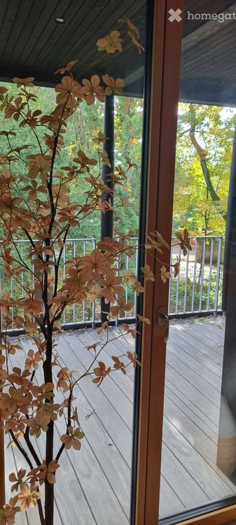 Attique à Carouge GE avec Rooftop 5