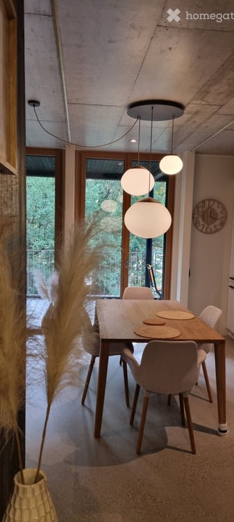 Attique à Carouge GE avec Rooftop 6