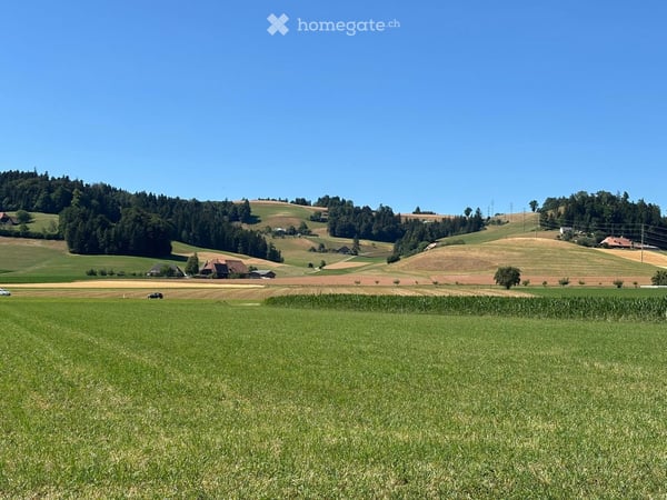 Doppeleinfamilienhaus in Grünenmatt 22