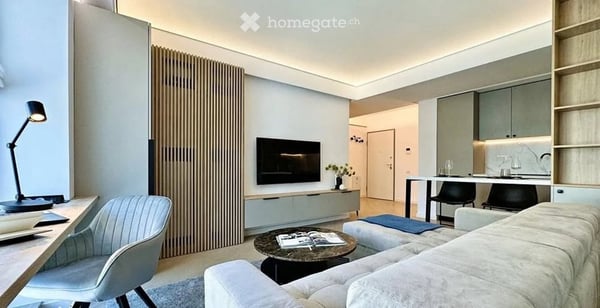 Appartement récemment rénové avec du mobilier moderne à Genève 1