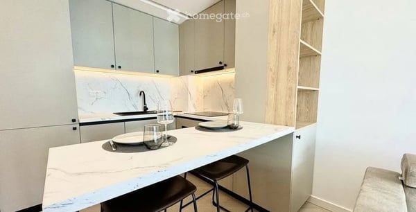 Appartement récemment rénové avec du mobilier moderne à Genève 3