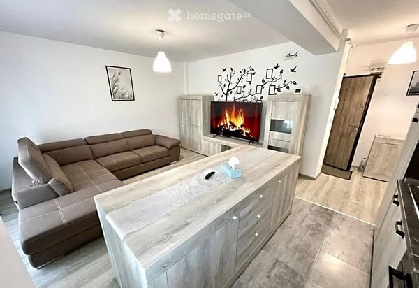 Geräumige und komfortabel eingerichtete Wohnung 2 Zimmer in Basel 2