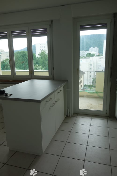 Mühlefeldquartier Süd / Quartier Champ-du-Moulin Sud 4