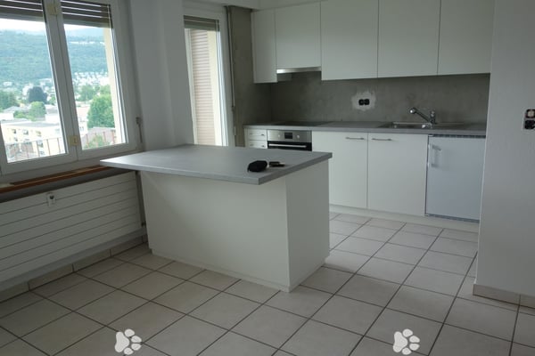 Mühlefeldquartier Süd / Quartier Champ-du-Moulin Sud 2