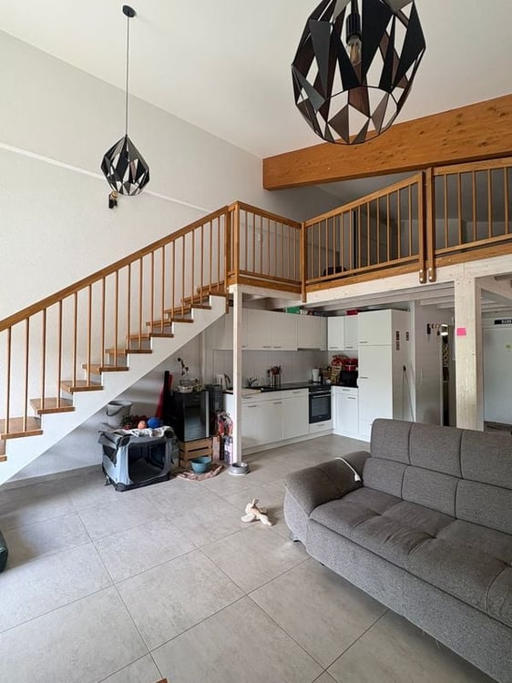 Magnifique loft lumineux de 137 m3, à la campagne 3