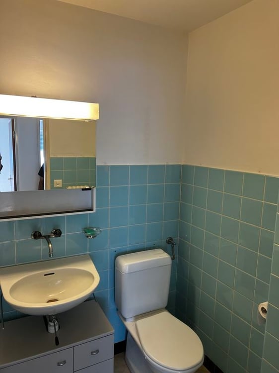 Appartements 3,5 pièces de 62 m2, rez supérieur avec grande terrasse 6