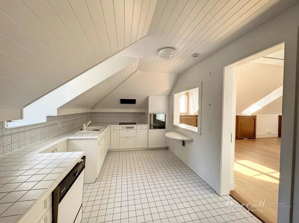 Charming apartment in a magnificent mansion 4