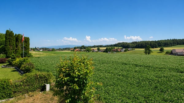 Charmantes Einfamilienhaus in Guschelmuth – Wohnen mit Weitblick und Ruhe 6