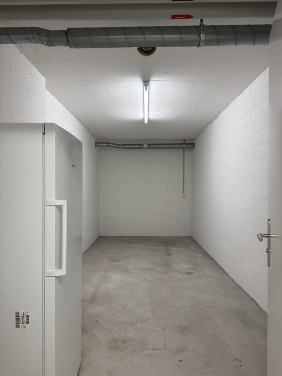 Moderen, sonnige 4.5 Zimmerwohnung mit Balkon, Autoeinstellhallenplatz und grossem Kellerabteil 22