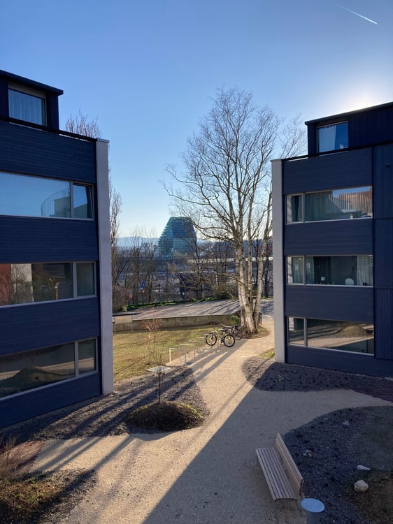 Neuwertige Wohnungen in Birsfelden 16