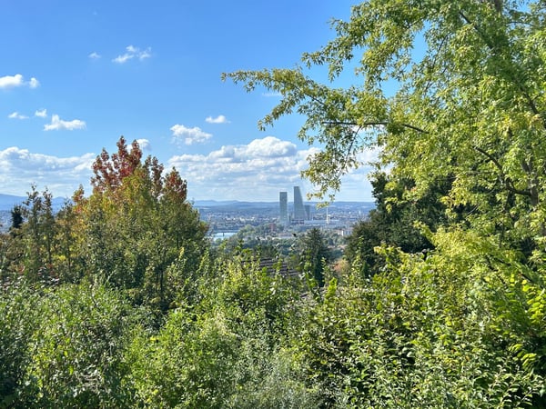 Exklusive 6.5-Zimmer-Wohnung auf zwei Ebenen mit Weitblick in Riehen 7