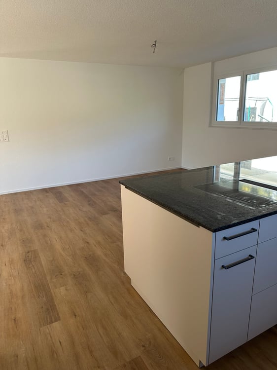 Moderne 1.5-Zimmer-Neubau-Einfamilienhaus mit Bergblick in Muemliswil 7