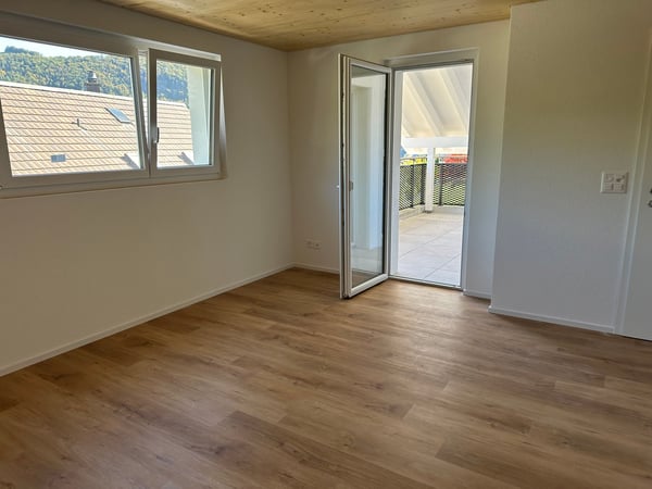 Moderne 1.5-Zimmer-Neubau-Einfamilienhaus mit Bergblick in Muemliswil 9