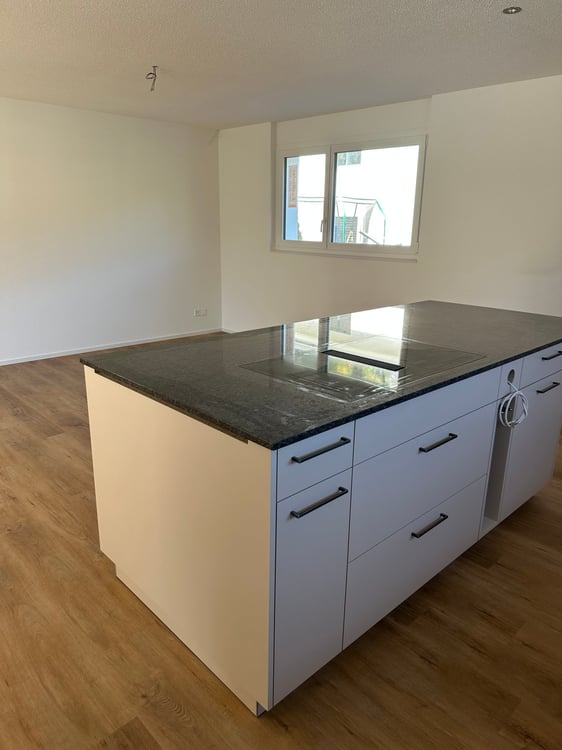 Moderne 1.5-Zimmer-Neubau-Einfamilienhaus mit Bergblick in Muemliswil 17