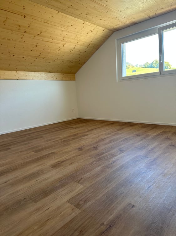 Moderne 1.5-Zimmer-Neubau-Einfamilienhaus mit Bergblick in Muemliswil 10