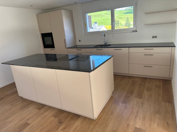 Moderne 1.5-Zimmer-Neubau-Einfamilienhaus mit Bergblick in Muemliswil 4