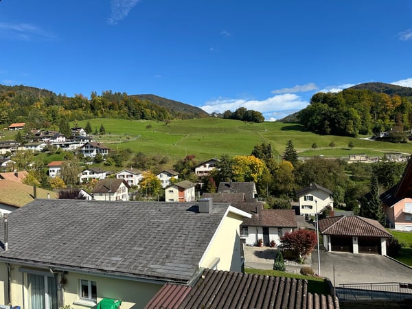 Moderne 1.5-Zimmer-Neubau-Einfamilienhaus mit Bergblick in Muemliswil 16