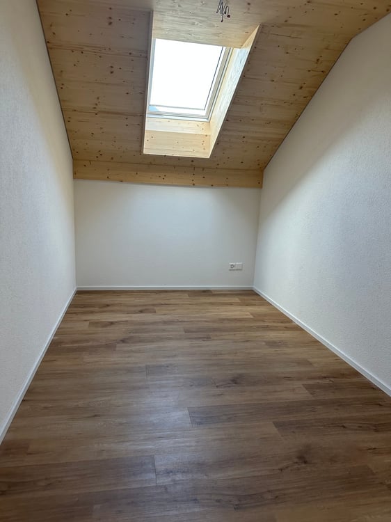 Moderne 1.5-Zimmer-Neubau-Einfamilienhaus mit Bergblick in Muemliswil 13