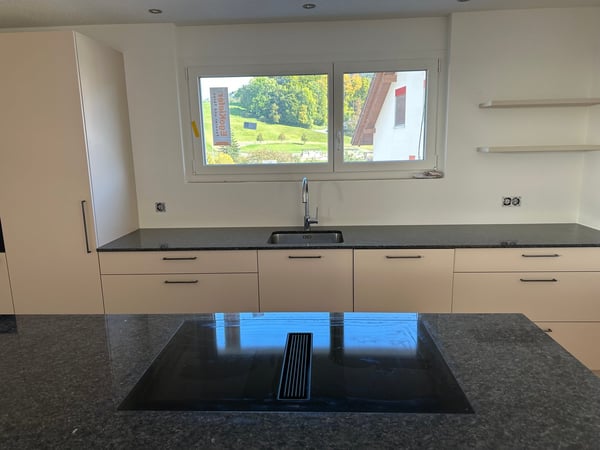 Moderne 5.5-Zimmer-Neubau-Einfamilienhaus mit Bergblick in Muemliswil 5