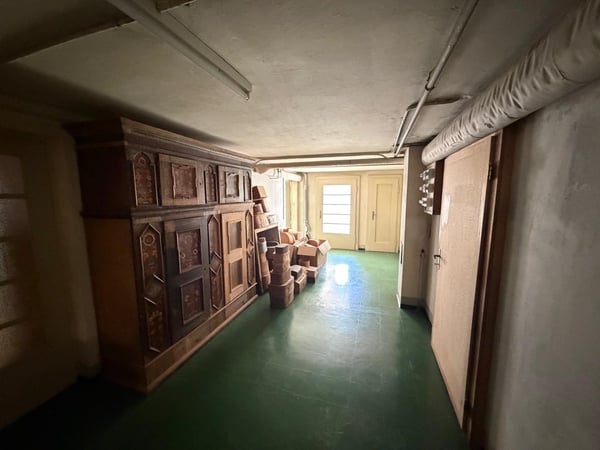 Ehemaliges Ärztehaus mit Bauland – 2’736 m² mit Entwicklungspotenzial in Triengen 15