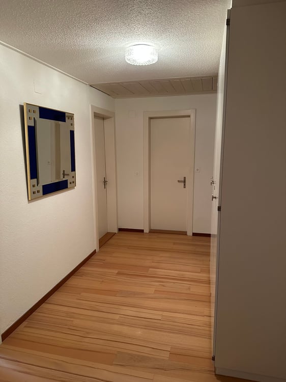 Mehrfamilienhaus in Schwyz mit vielseitigen Perspektiven 23