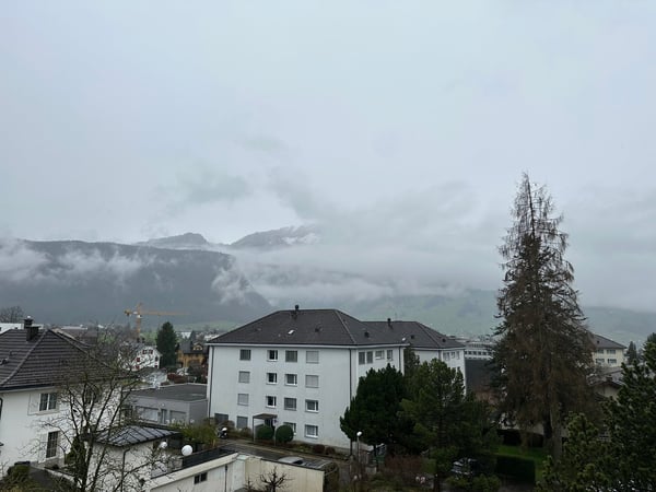Mehrfamilienhaus in Schwyz mit vielseitigen Perspektiven 22