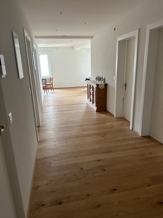 Mehrfamilienhaus in Schwyz mit vielseitigen Perspektiven 6