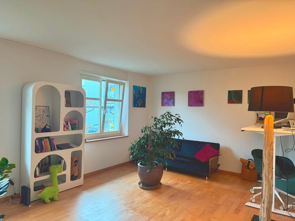 1-Zimmer-Maisonette-Wohnung in Winterthur 14