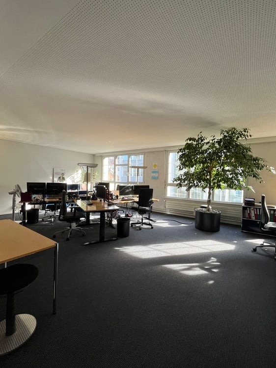280 m2 geräumiges und lichtdurchflutendes Büro zu vermieten 4