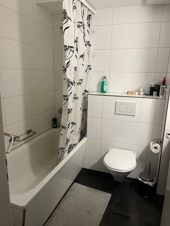 Grosszügige 1.0 Zimmerwohnung zu vermieten 6