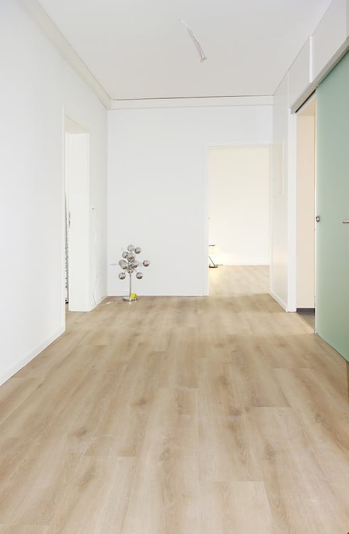 Erstvermietung: komplett neu sanierte 4,5-Zi.Wohnung, 110 m2 11