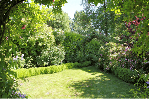 Magnifique propriété à Crassier/Superb property in Crassier 2