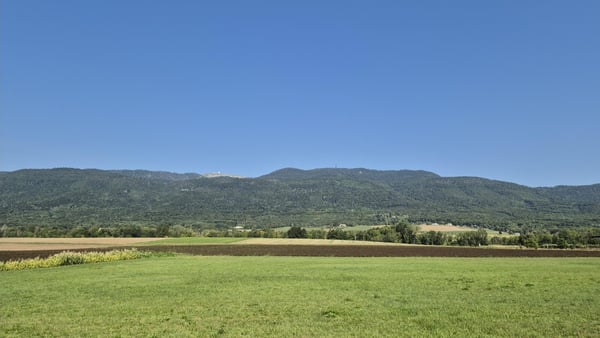 Charmante maison à louer sur Chéserex 6
