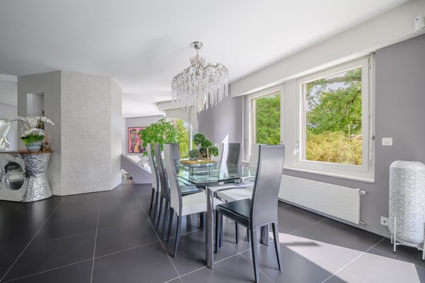 Splendide villa sur les hauts de Nyon 6