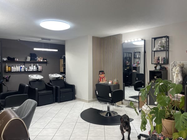 Arcade commerciale idéalement située 2