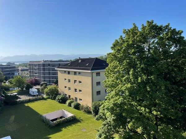 Magnifique appartement de 5,5 pièces 1