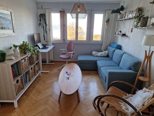 Appartement de 4 pièces dans les combles 4