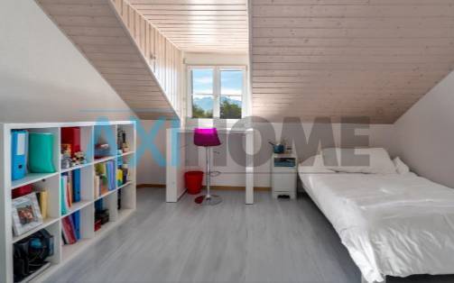 Charmante villa de type vaudoise 10