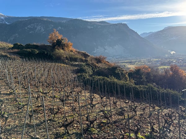 Terrain / St-Léonard / Non morcelable ! / EXCLUSIVITE / réf. 10245452 5