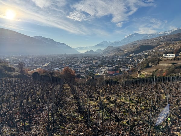 Terrain / St-Léonard / Non morcelable ! / EXCLUSIVITE / réf. 10245452 2