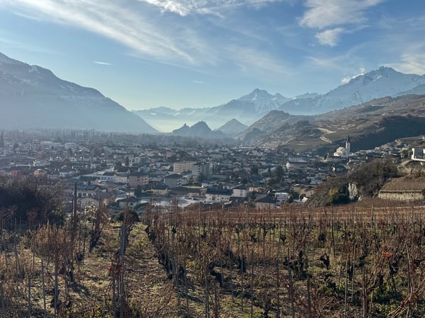 Terrain / St-Léonard / Non morcelable ! / EXCLUSIVITE / réf. 10245452 3