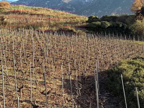 Terrain / St-Léonard / Non morcelable ! / EXCLUSIVITE / réf. 10245452 6