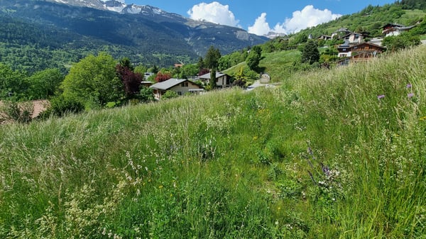 Terrain - 809 m2 - Icogne - EXCLUSIVITE - réf. 10245445 5