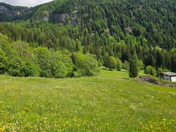 Terrain - 953 M2 - Leukerbad - réf. 10245442 3