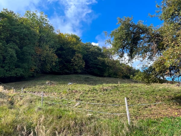 Terrain - 1'990 M2 - Les Neyres 2