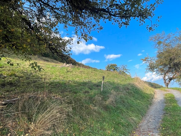 Terrain - 1'990 M2 - Les Neyres 3