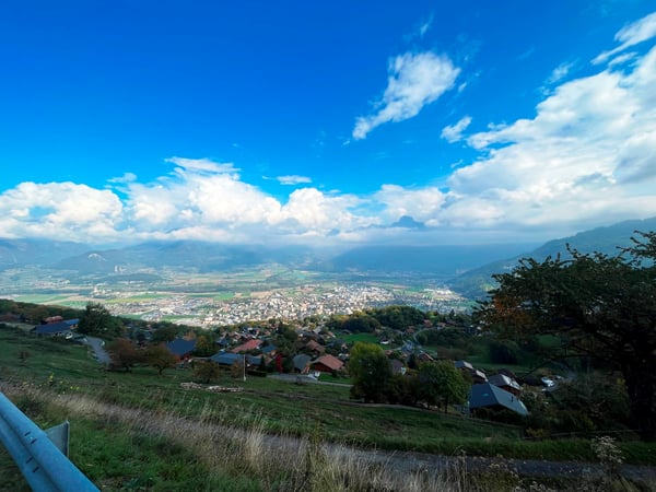 Terrain - 1'990 M2 - Les Neyres 4