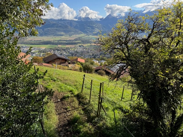 Terrain / Les Neyres / Libre de mandat / EXCLUSIVITE 3